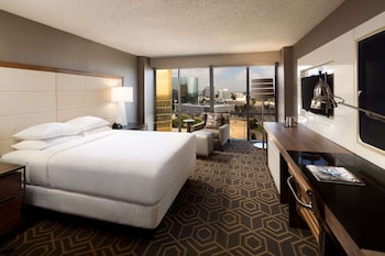 Room, Accessible, Bathtub