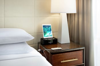 Room, Accessible, Bathtub