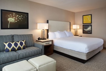 Room, 1 King Bed