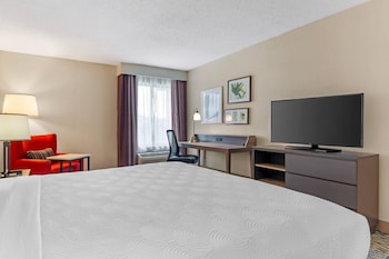Room, 1 King Bed, Non Smoking