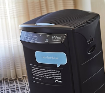 Pure, Room, 1 King Bed, Allergy Friendly