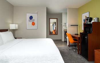 Room, 1 King Bed with Sofa bed