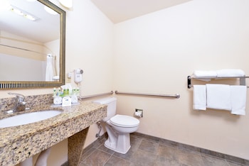 Room, 1 Queen Bed, Accessible, Non Smoking (Roll-In Shower)