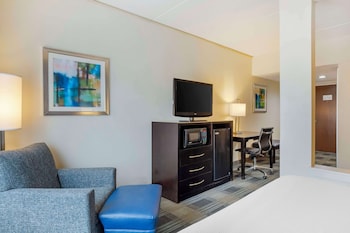 Suite, 1 King Bed, Non Smoking, Refrigerator & Microwave (with Sofabed)