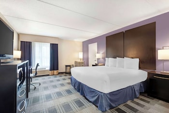 Suite, 1 Queen Bed, Non Smoking, Refrigerator & Microwave (with Sofabed)