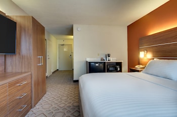 Standard Room, 1 King Bed with Sofa bed