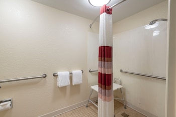 Deluxe Room, 1 King Bed, Accessible, Non Smoking (Roll-In Shower)
