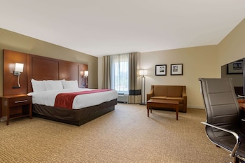 Suite, 1 King Bed, Non Smoking