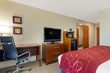 Room, 1 King Bed, Accessible, Non Smoking