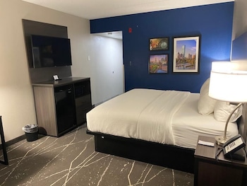 Standard Room, 1 King Bed, Non Smoking