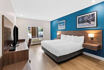 Standard Room, 1 King Bed, Non Smoking (Walk-in Shower)