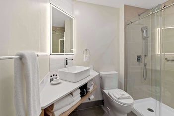 Standard Room, 1 King Bed, Non Smoking (Walk-in Shower)
