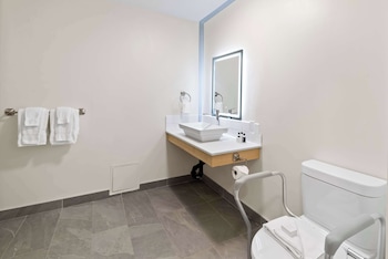 Standard Room, 1 King Bed, Accessible, Non Smoking (Walk-in Shower)