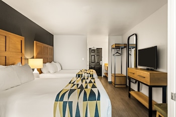 Executive 2 Queen Suite