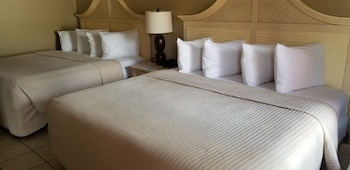 Studio Suite, Multiple Beds, Non Smoking