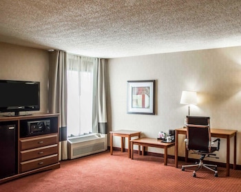 Suite, 1 King Bed with Sofa bed, Non Smoking (1 Person Sofa Bed)