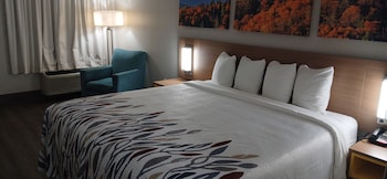 Deluxe Room, 1 King Bed, Accessible, Non Smoking (Roll-in Shower)