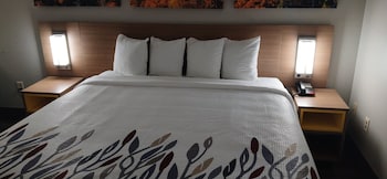 Deluxe Room, 1 King Bed, Accessible, Non Smoking (Roll-in Shower)