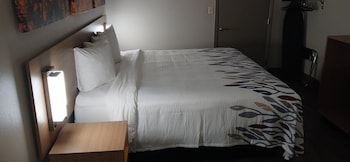 Deluxe Room, 1 King Bed, Accessible, Non Smoking (Roll-in Shower)