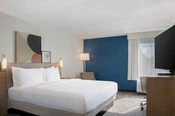 Room, 1 King Bed