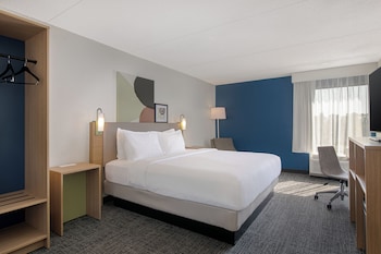 Room, 1 King Bed
