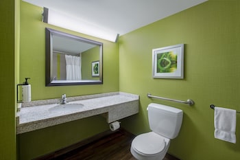 Premium Room, 1 King Bed, Accessible (Communication, Accessible Tub)