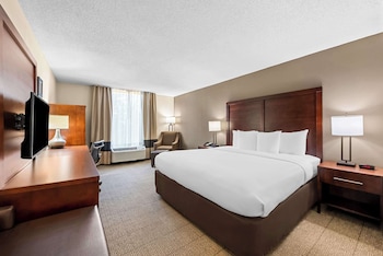Standard Room, 1 King Bed, Non Smoking