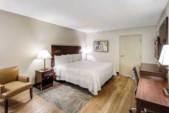 Superior Room, 1 King Bed, Accessible (Roll-In Shower, Smoke Free)