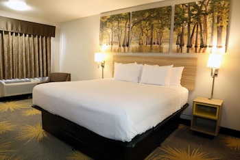Standard Room, 1 King Bed, Non Smoking