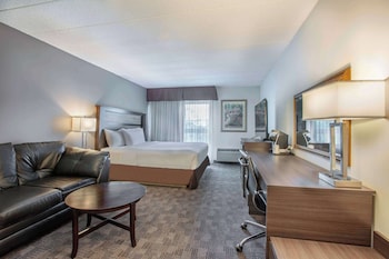 Room, 1 King Bed, Non Smoking