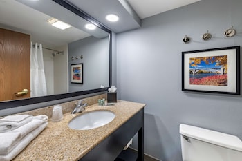 Suite, 1 King Bed, Non Smoking, Refrigerator & Microwave (Living Room;with Single Sofabed)