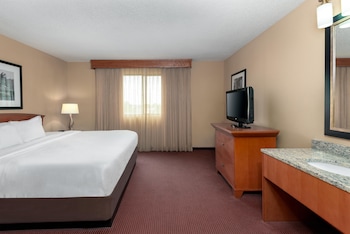 Suite, 1 King Bed with Sofa bed, Microwave