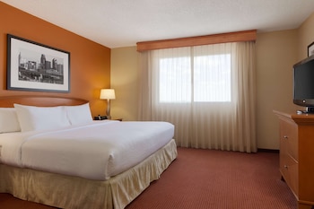 Premium Suite, 1 King Bed (Wellness, In-room air purification)