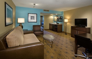 Room, 1 King Bed, Non Smoking (Custom)