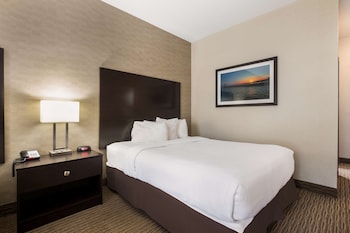 Business Room, 1 King Bed, Non Smoking, Refrigerator