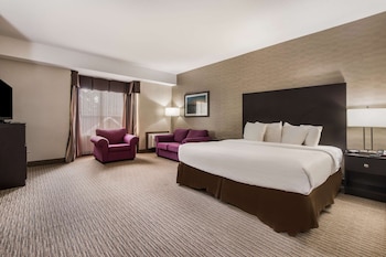 Business Room, 1 King Bed, Non Smoking, Refrigerator (with Sofabed)
