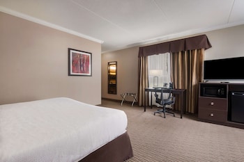 Standard Room, 1 King Bed, Non Smoking, Jetted Tub (with Sofabed)