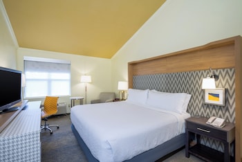 Standard Room, 1 King Bed, Accessible (Roll-In Shower)