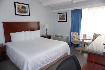 Standard Room, 1 King Bed, Non Smoking
