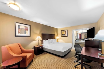Standard Room, 1 King Bed, Accessible, Non Smoking (Walk-in Shower)