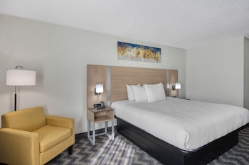 Standard Room, 1 King Bed, Non Smoking