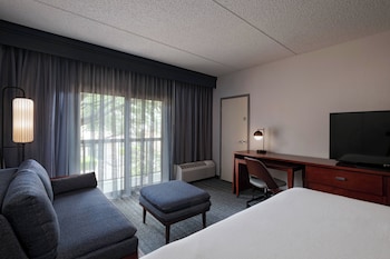 Room, 1 King Bed with Sofa bed, Courtyard View (Balcony)