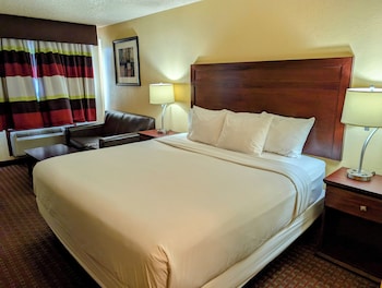 Room, 1 King Bed, Smoking