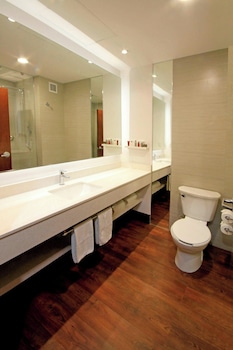 Room, 1 King Bed