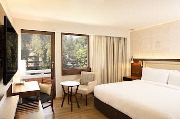 Room, 1 King Bed