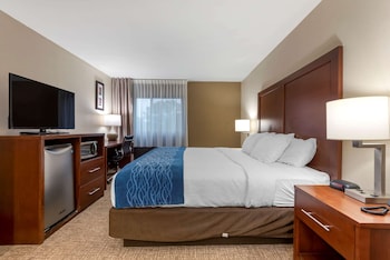 Room, 1 King Bed, Accessible, Non Smoking