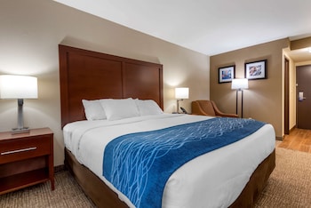 Room, 1 King Bed, Accessible, Non Smoking
