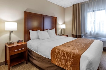 Standard Room, 1 King Bed, Non Smoking
