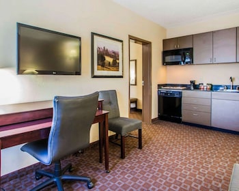 Suite, 1 King Bed with Sofa bed, Accessible, Non Smoking (Efficiency, Tub Accessible)