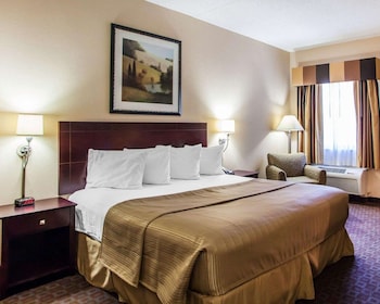 Standard Room, 1 King Bed, Non Smoking